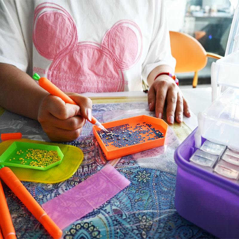 Diamond Embroidery Tools Carro - Craft Embellishment Storage 리뷰 및 가격
