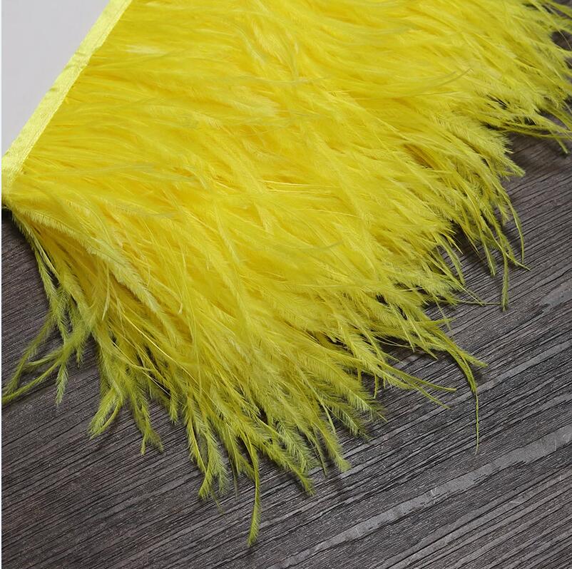 13-18CM 6M Ostrich Feather tri - Feather Trim Marabou 리뷰 및 가격