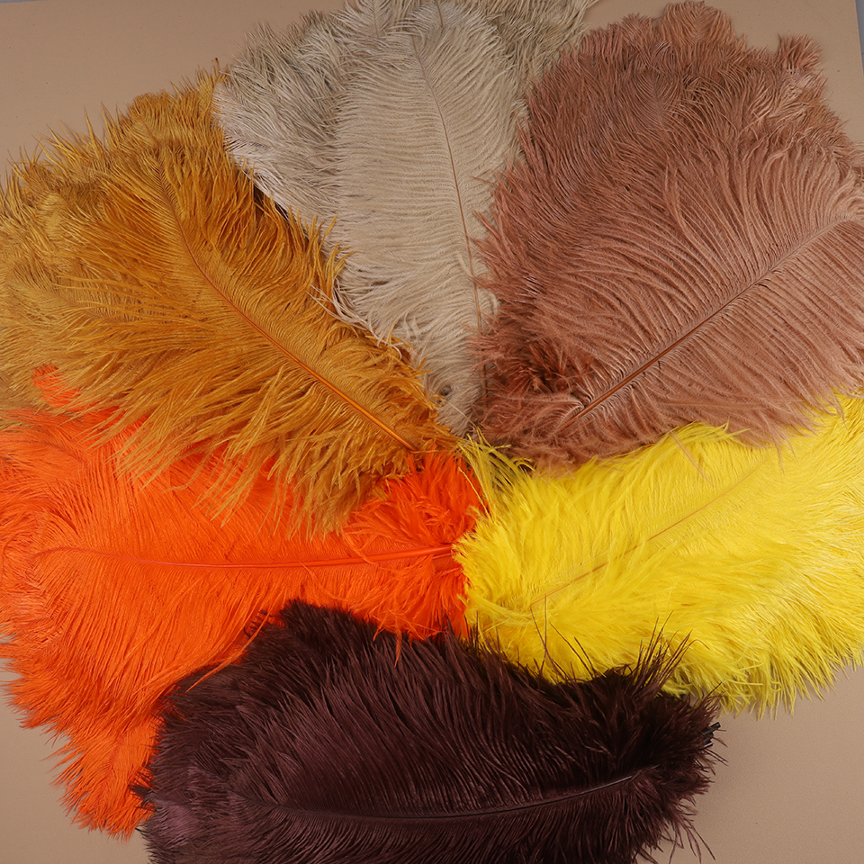 10pcs Ostrich Feathers for Cra - Feather Trim Marabou 리뷰 및 가격