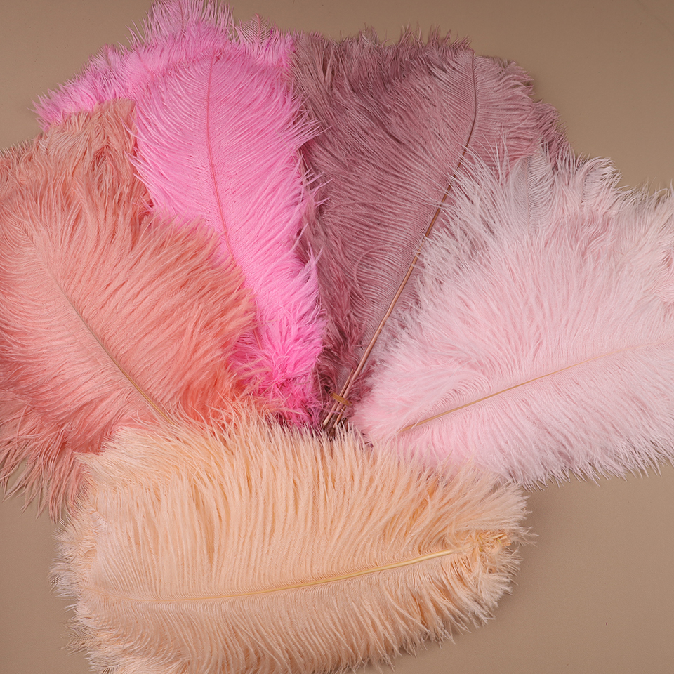 10pcs Ostrich Feathers for Cra - Feather Trim Marabou 리뷰 및 가격