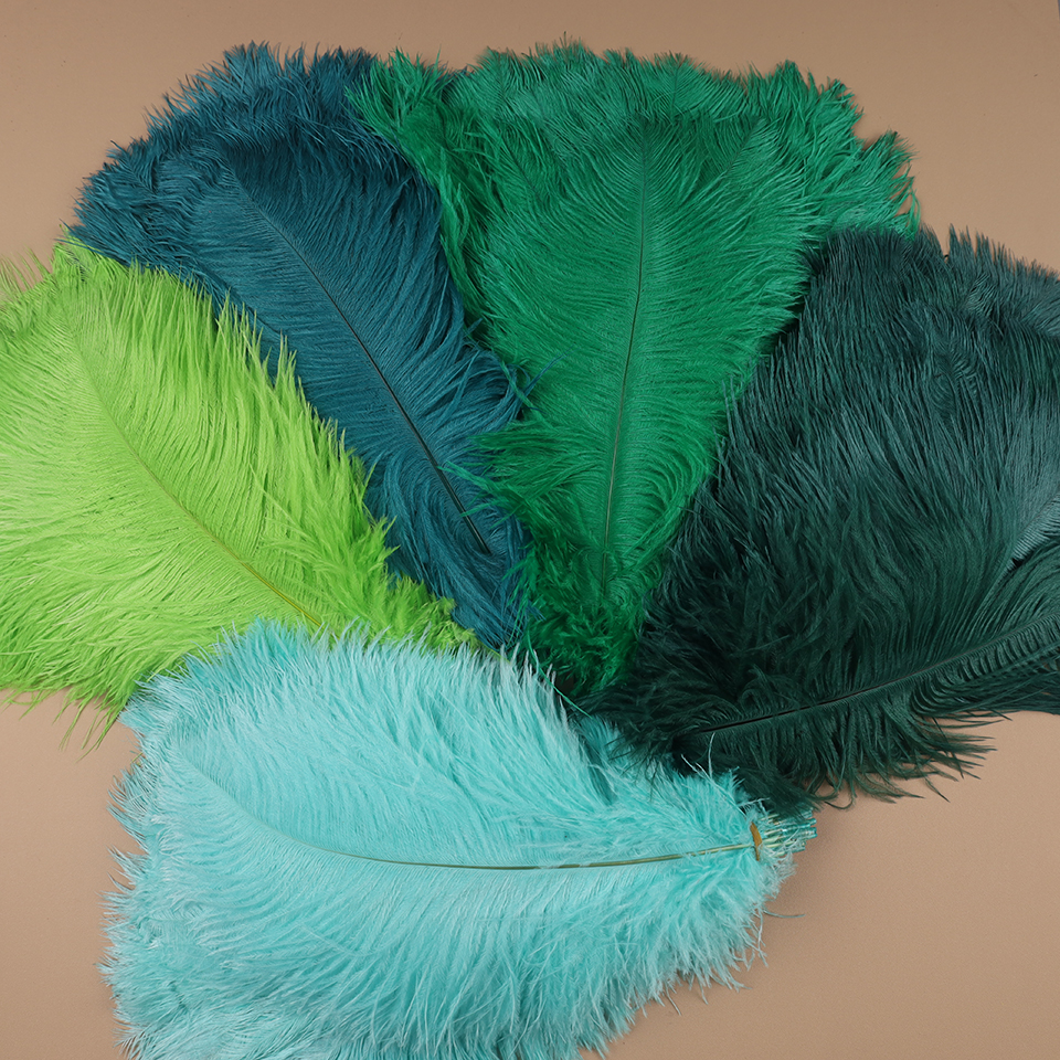 10pcs Ostrich Feathers for Cra - Feather Trim Marabou 리뷰 및 가격