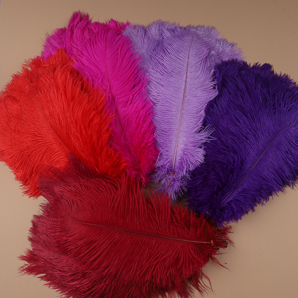 10pcs Ostrich Feathers for Cra - Feather Trim Marabou 리뷰 및 가격