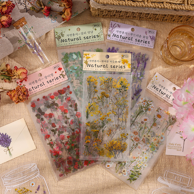 6pcs/pack Retro Plant & Flower - Embellishments For Scrapbooking 리뷰 및 가격