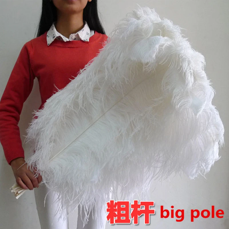 65-70cm White Ostrich Feather  - Feather Trim Marabou 리뷰 및 가격