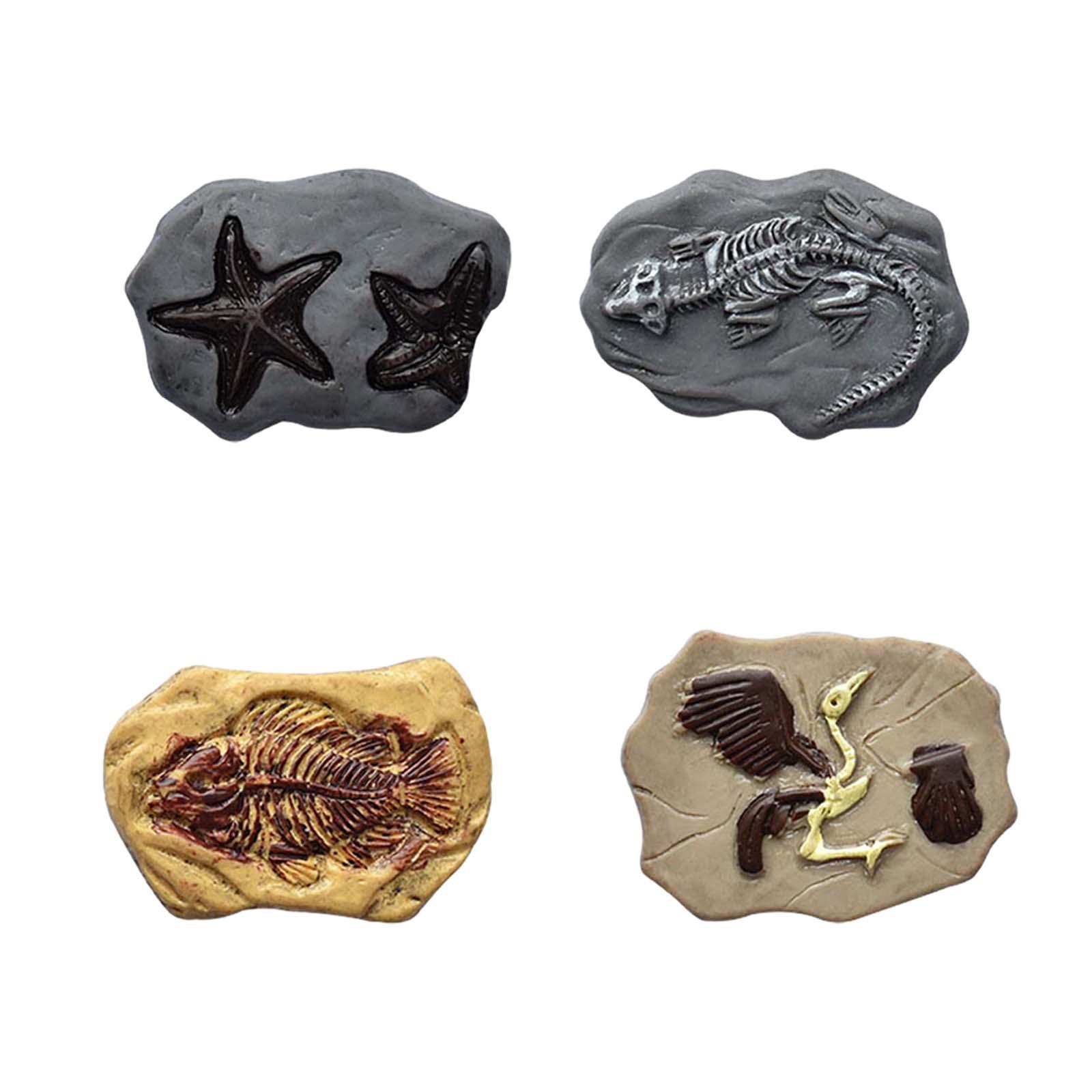 Miniature Fossil Realistic Mod - Embellish Craft 리뷰 및 가격