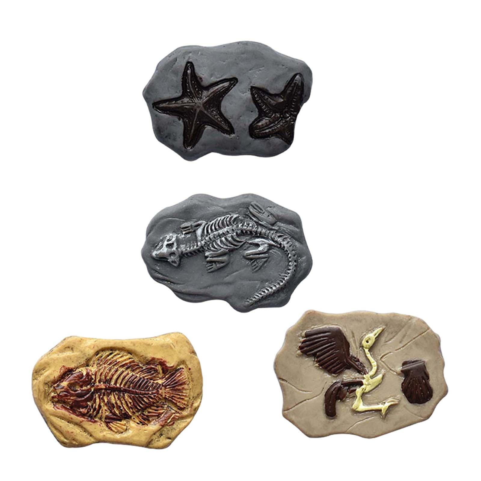 Miniature Fossil Realistic Mod - Embellish Craft 리뷰 및 가격
