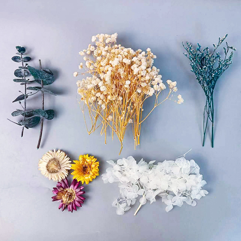 1pack Multifarious Dried Flowe - Embellish Craft 리뷰 및 가격