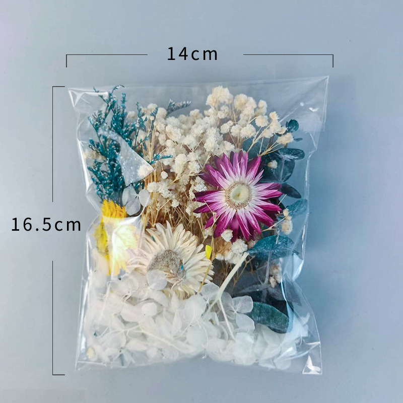 1pack Multifarious Dried Flowe - Embellish Craft 리뷰 및 가격