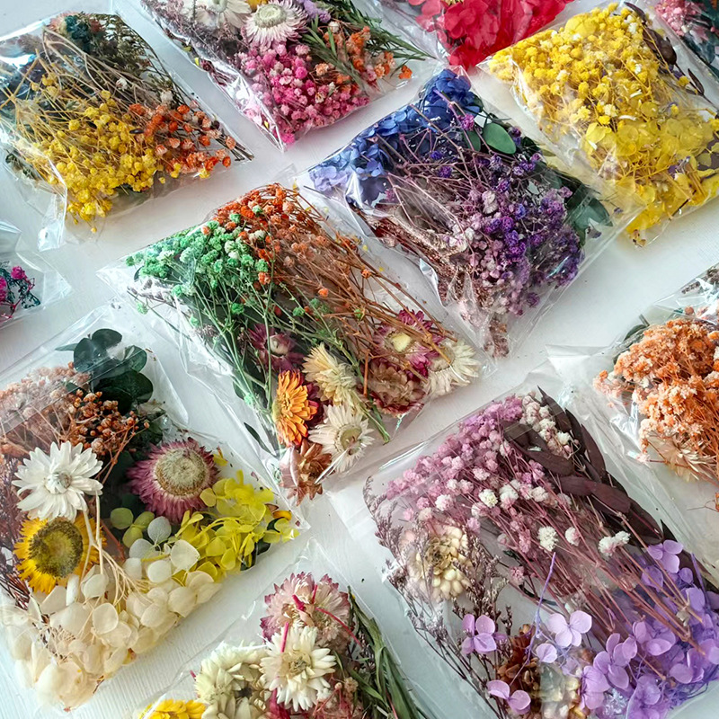 1pack Multifarious Dried Flowe - Embellish Craft 리뷰 및 가격
